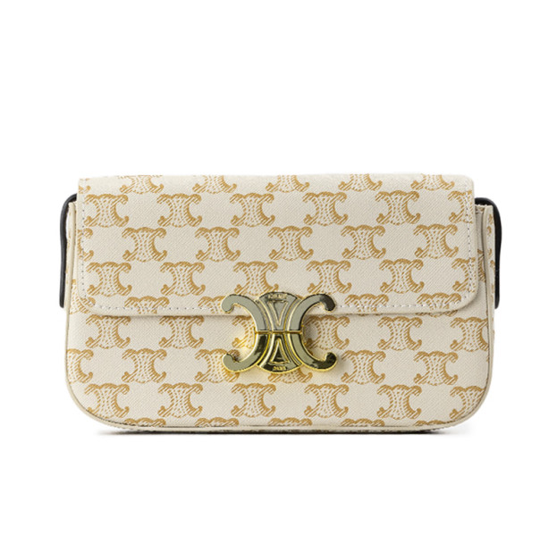 Сумка Triomphe Canvas 10N120CCA21HY