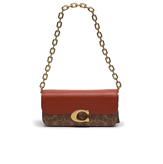 Сумка Idol Bag 23 In Signature Canvas With Snakeskin Detail CD160