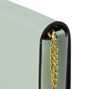 Сумка Wallet On Chain graphy Mint 8BS076A5DYF1NPU