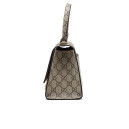 Сумка x Gucci Hourglass Hacker Aria Supreme Beige 5935461LGUC2029