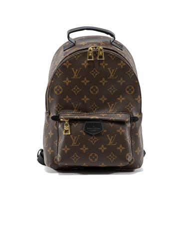 Рюкзак Louis Vuitton Palm Springs Backpack Monogram Coated Canvas 2160700252739