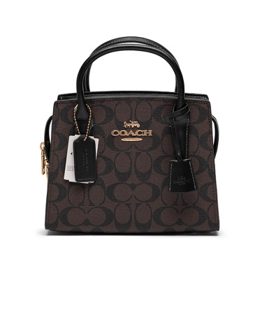 Andrea Carryall In Signature Canvas Brown Black CE120
